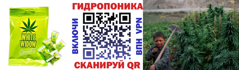 Купить  Окуловка  Cannafood конопля 