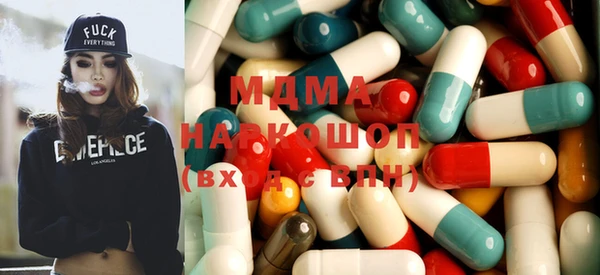 гидра Бородино