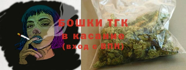 гидра Бородино