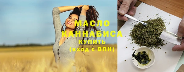 гидра Бородино