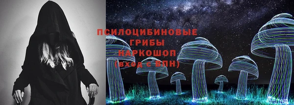 гидра Бородино