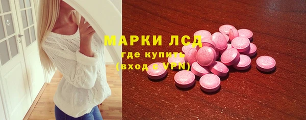 гидра Бородино