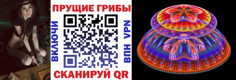 Псилоцибиновые грибы Cubensis  Купить где  Окуловка 